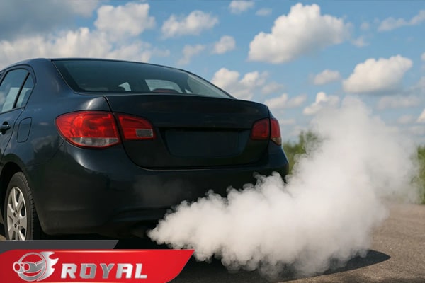 روش‌ تشخیص سریع نوع دود سفید